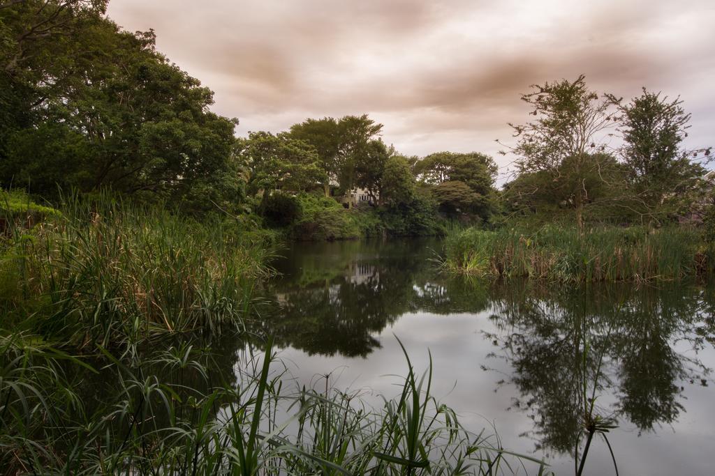 איסט לונדון Quarry Lake Inn מראה חיצוני תמונה